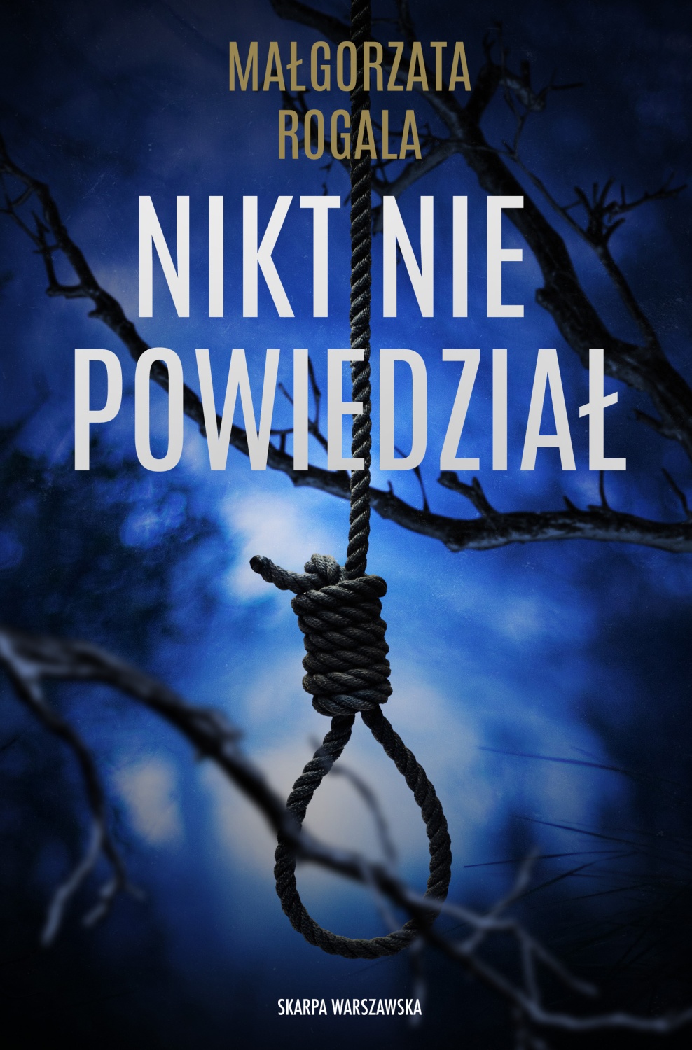 Nikt nie powiedział book cover