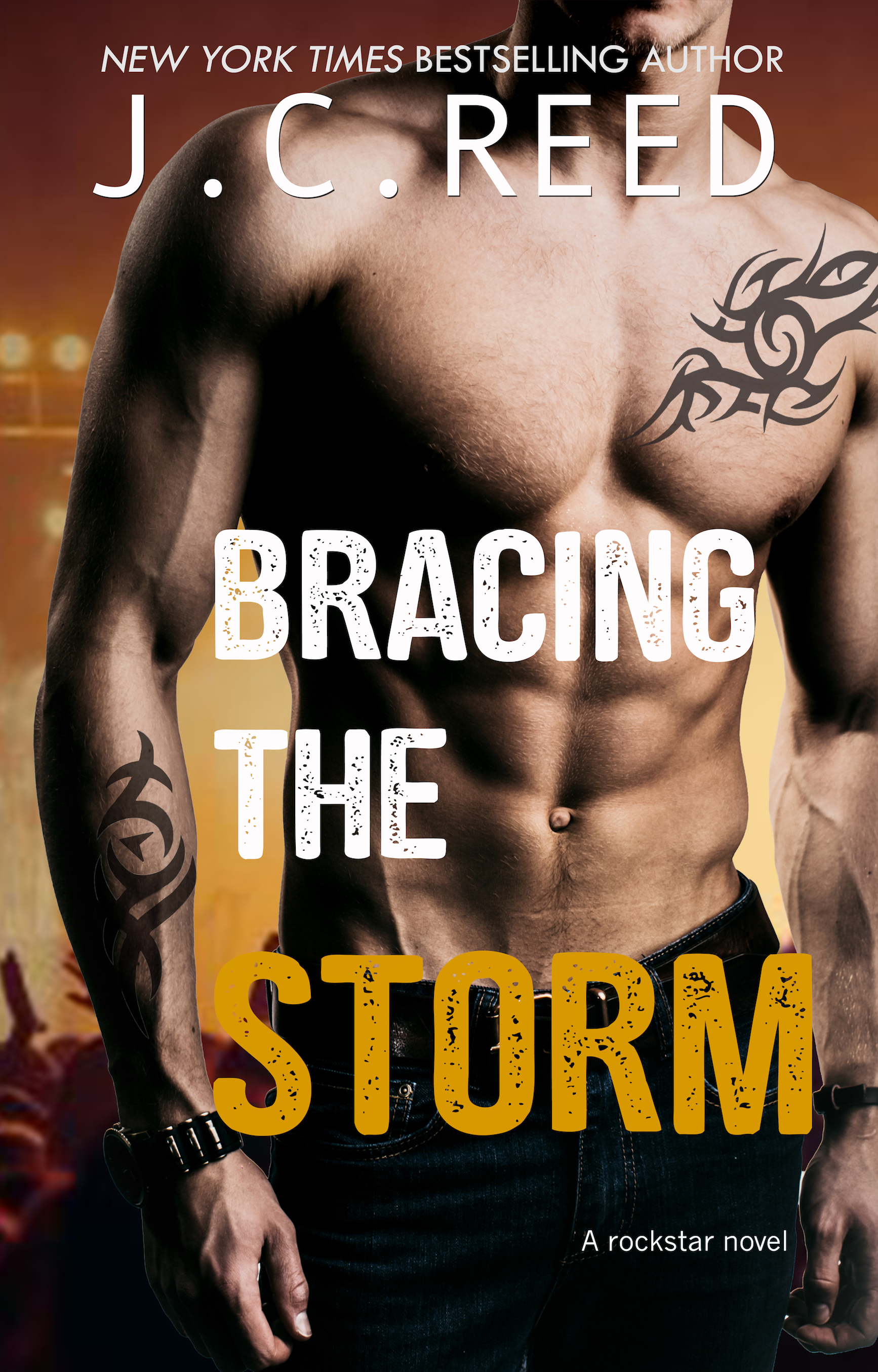 Bracing The Storm book cover 1