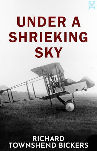 UNDER A SHRIEKING SKY a stirring WWI aviation novel of courage, camaraderie, and the dawn of air warfare