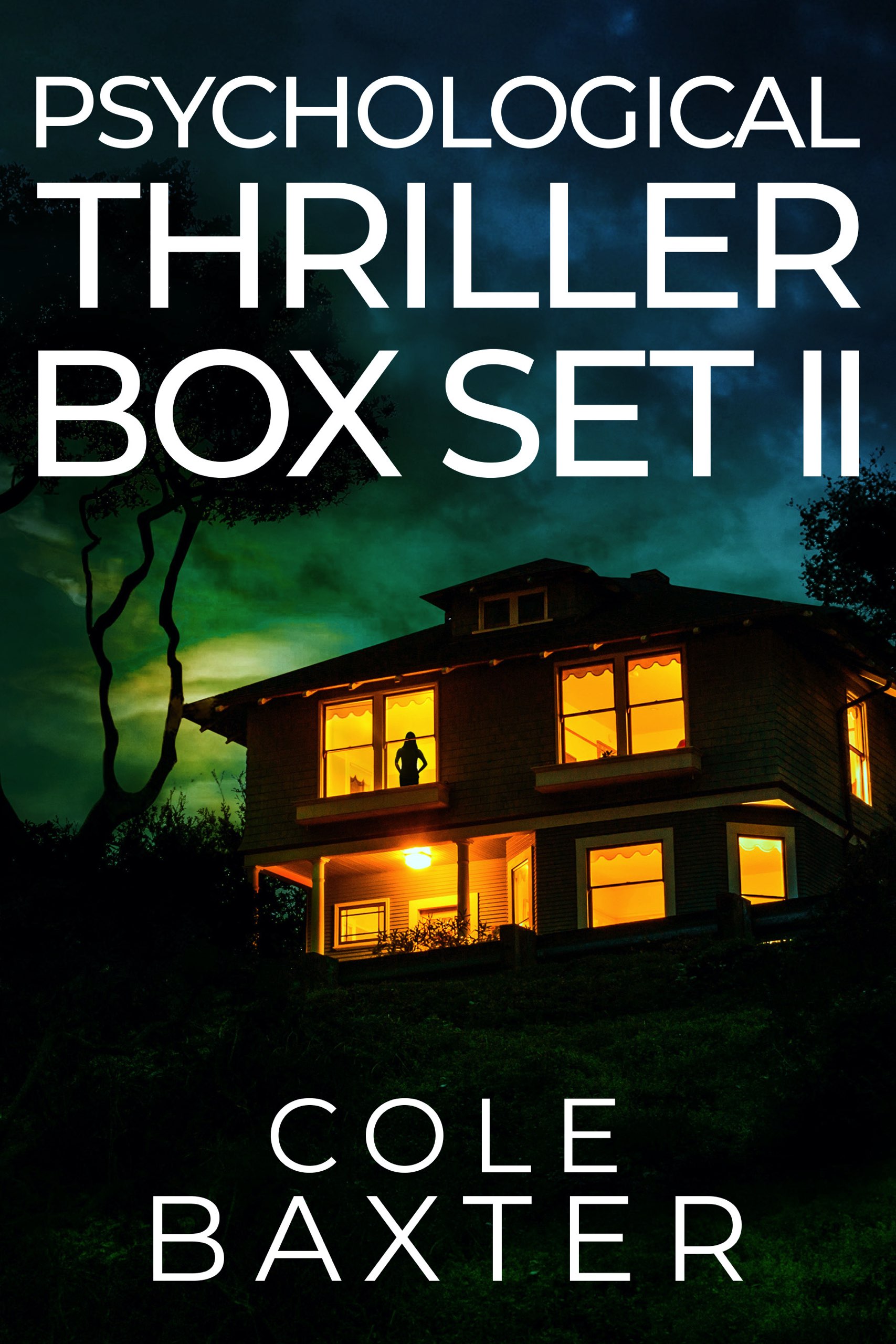 Psychological Thriller Box Set II