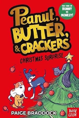 Christmas Surprise book cover