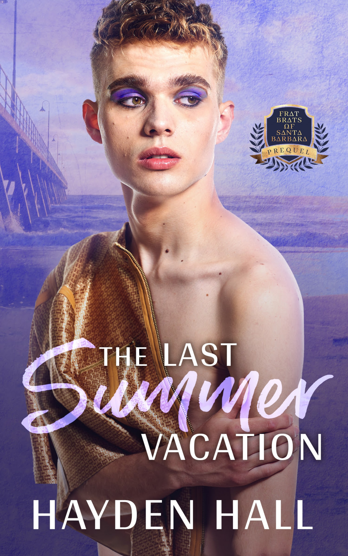 The Last Summer Vacation book cover
