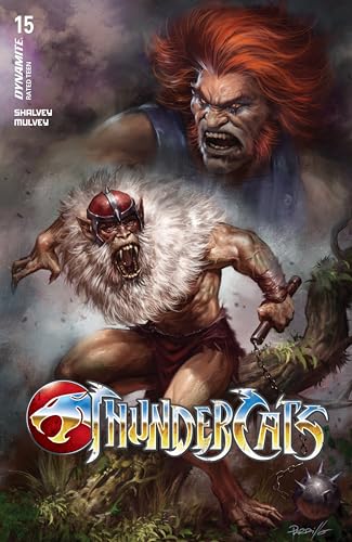 ThunderCats book cover 2