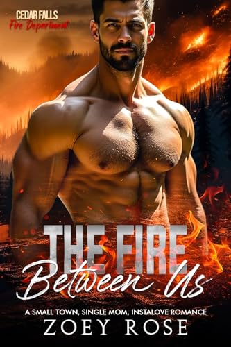 The Fire Between Us book cover