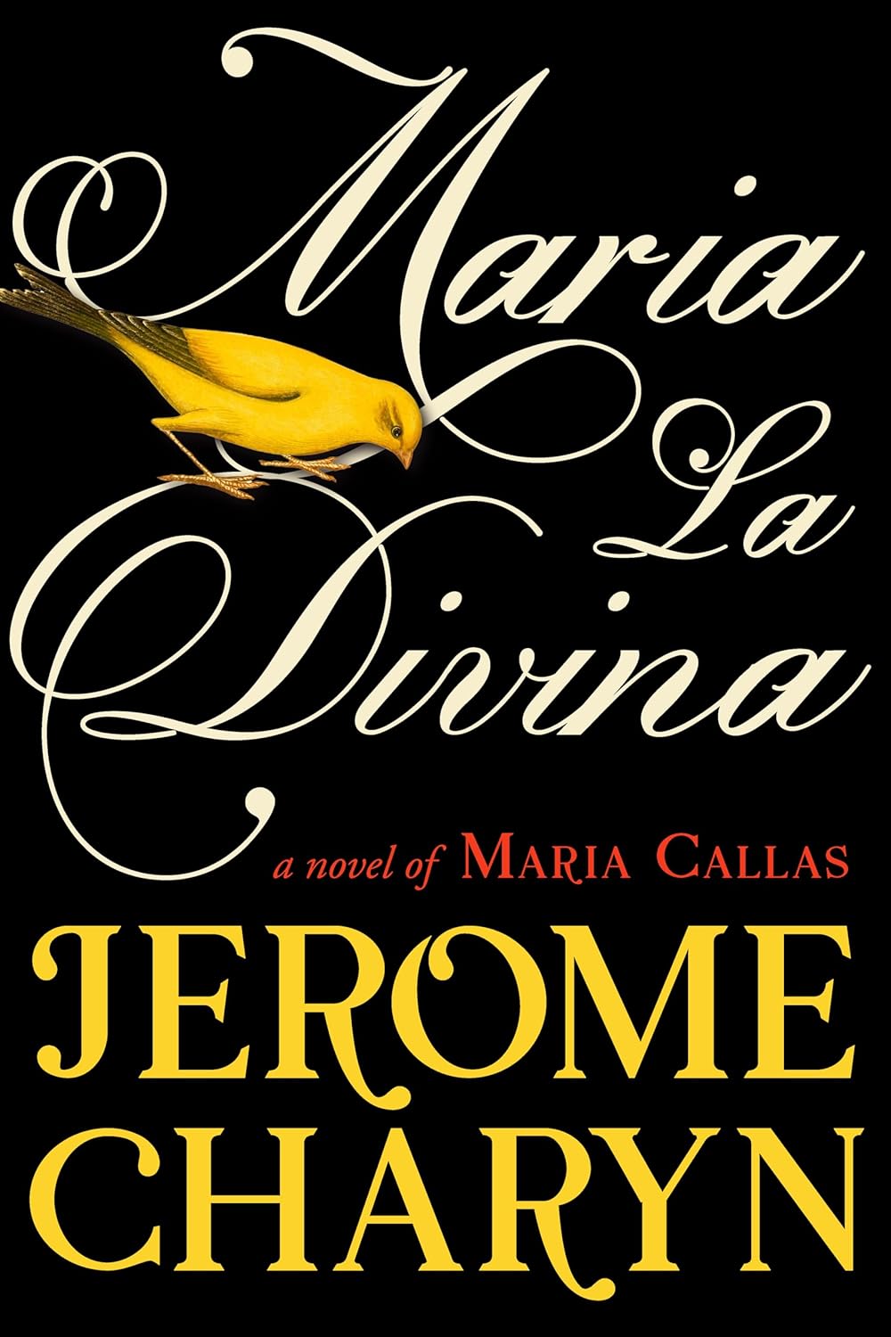 Maria La Divina book cover