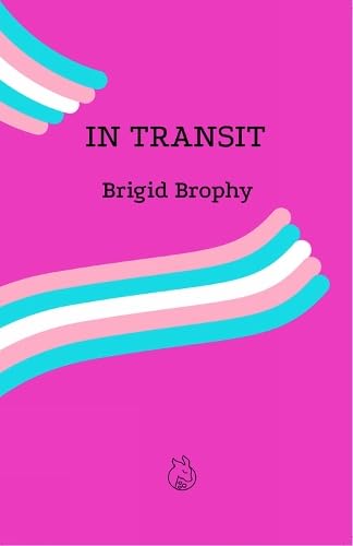 In Transit book cover