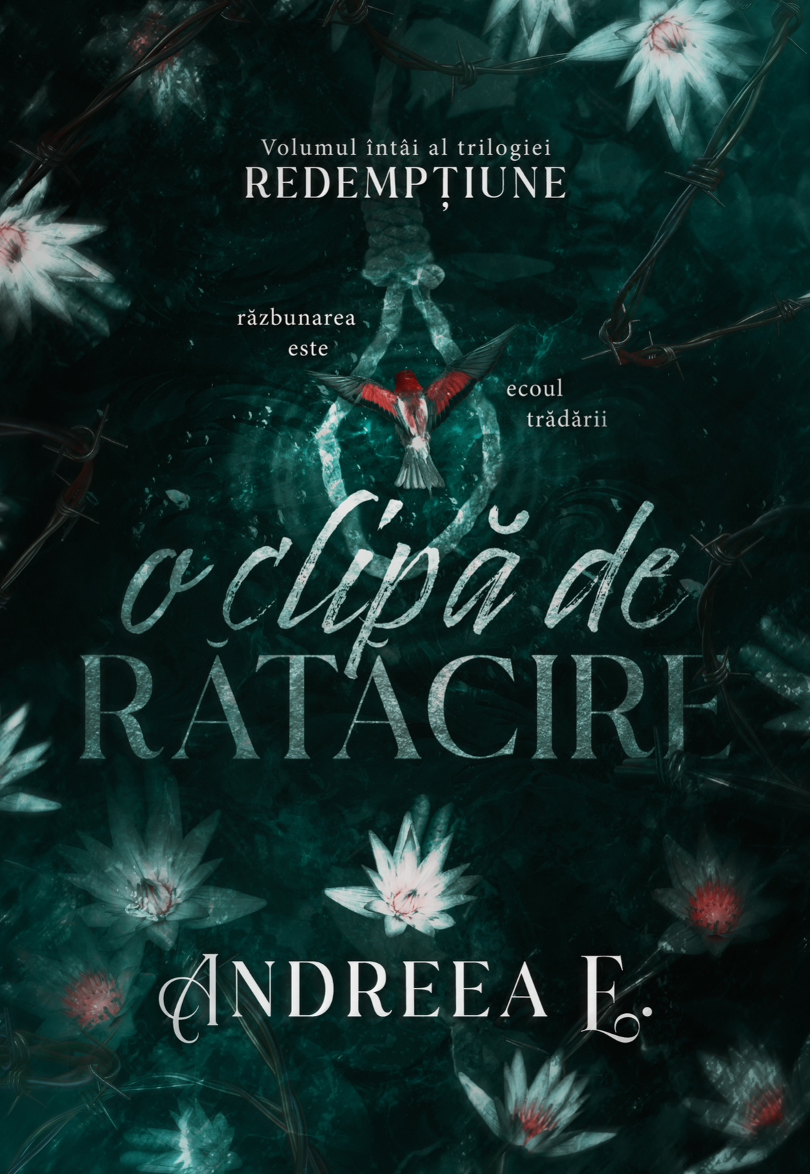 O clipă de rătăcire