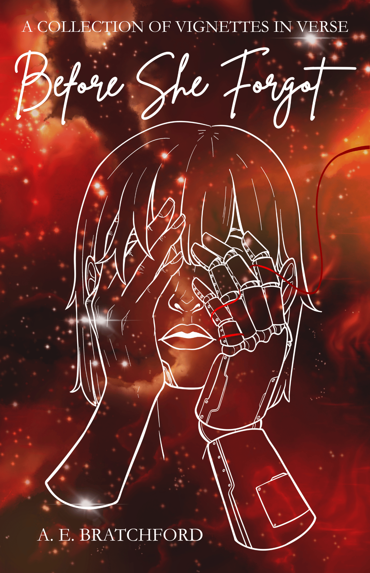 Before She Forgot: a collection of vignettes in verse