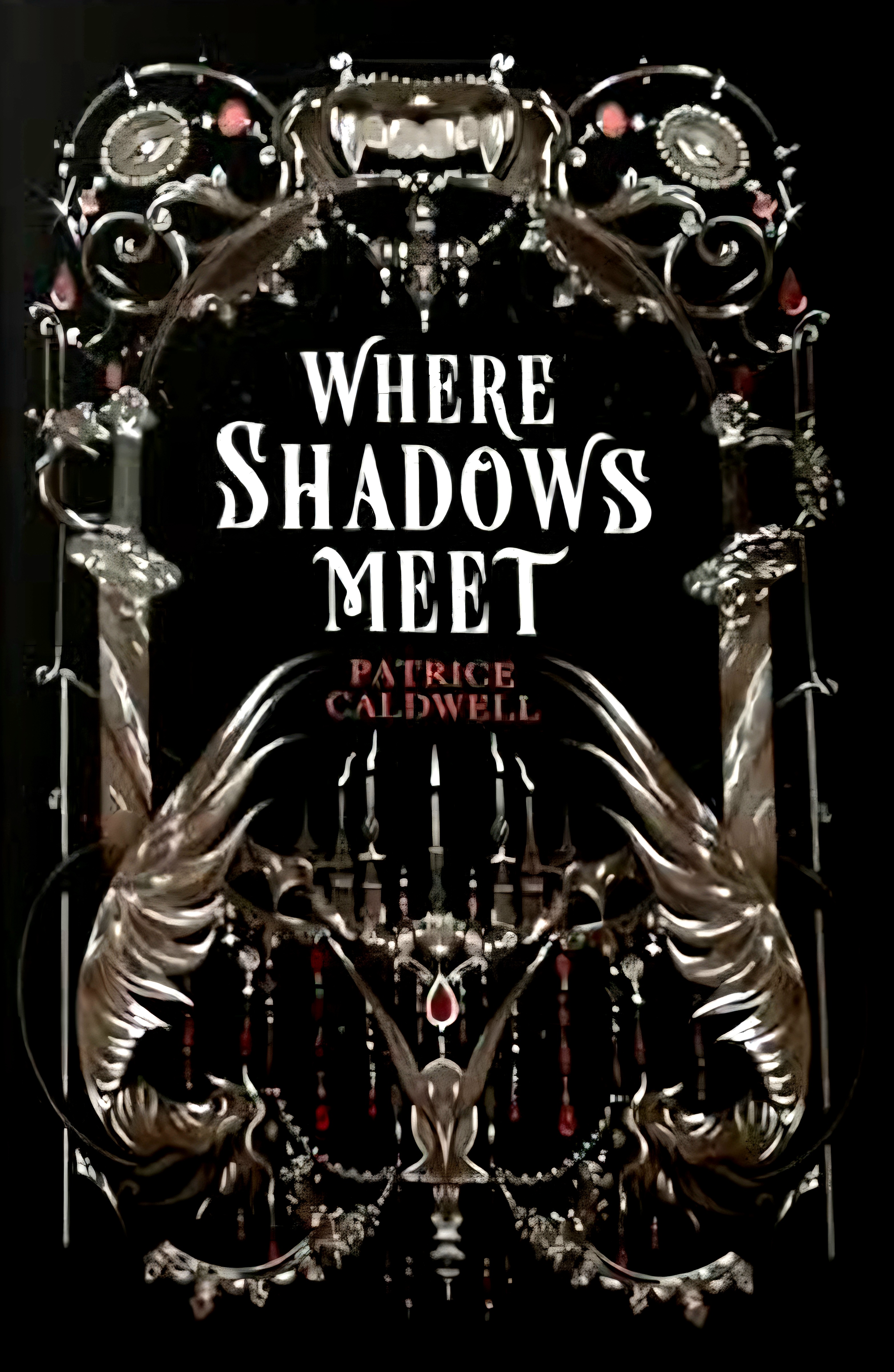 Where Shadows Meet (Where Shadows Meet, #1)