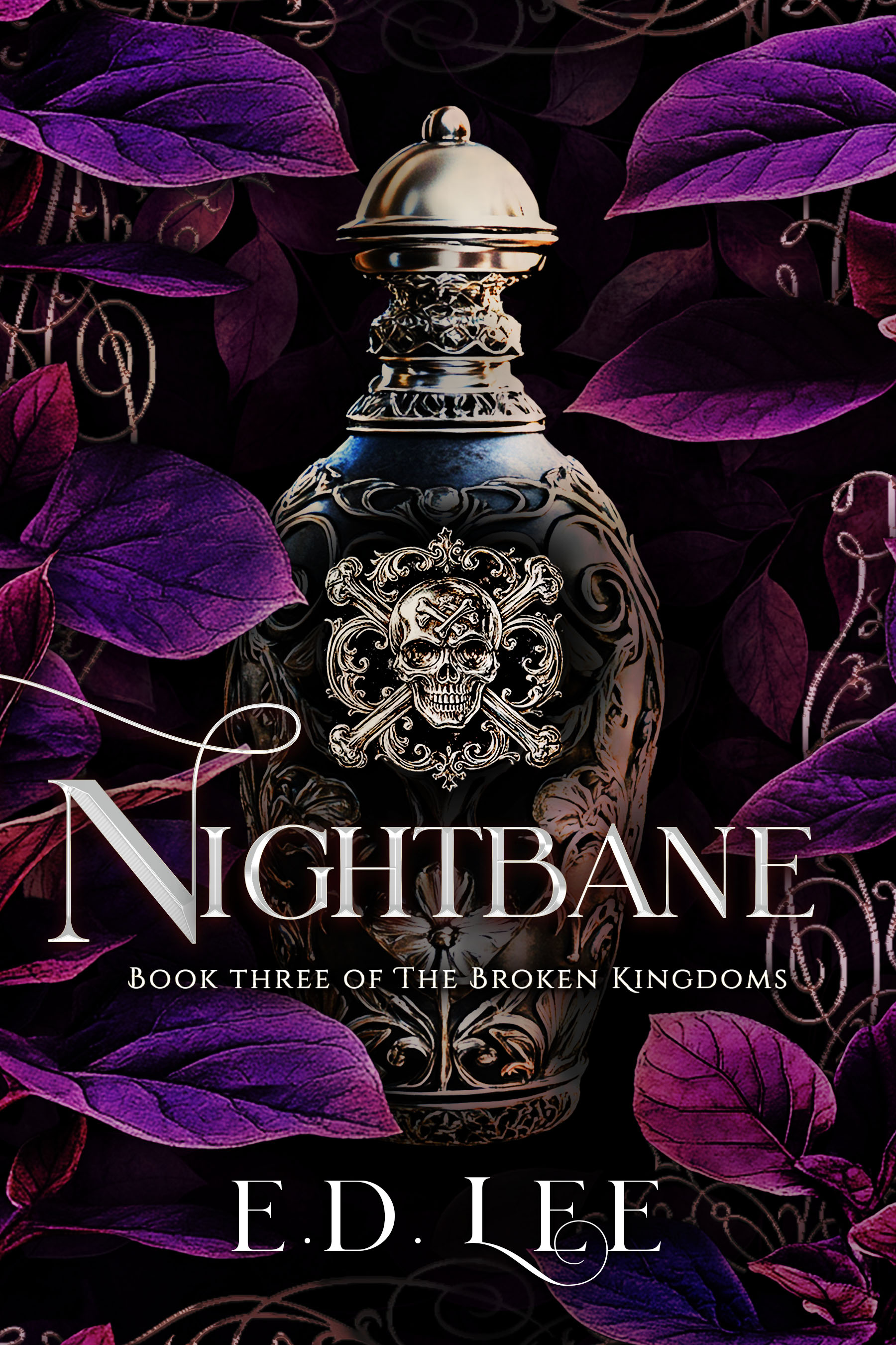Nightbane: Book Three of the Broken Kingdoms Books