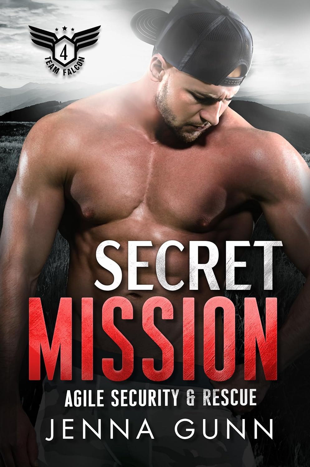 Secret Mission book cover