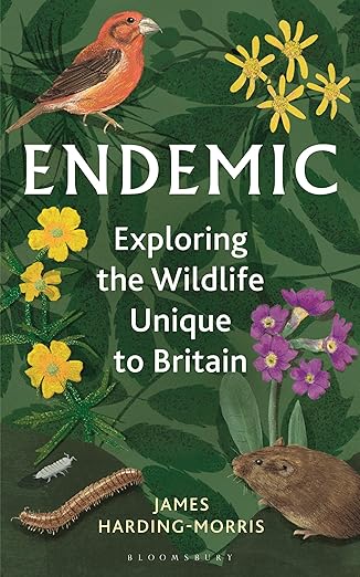 Endemic: Exploring the wildlife unique to Britain