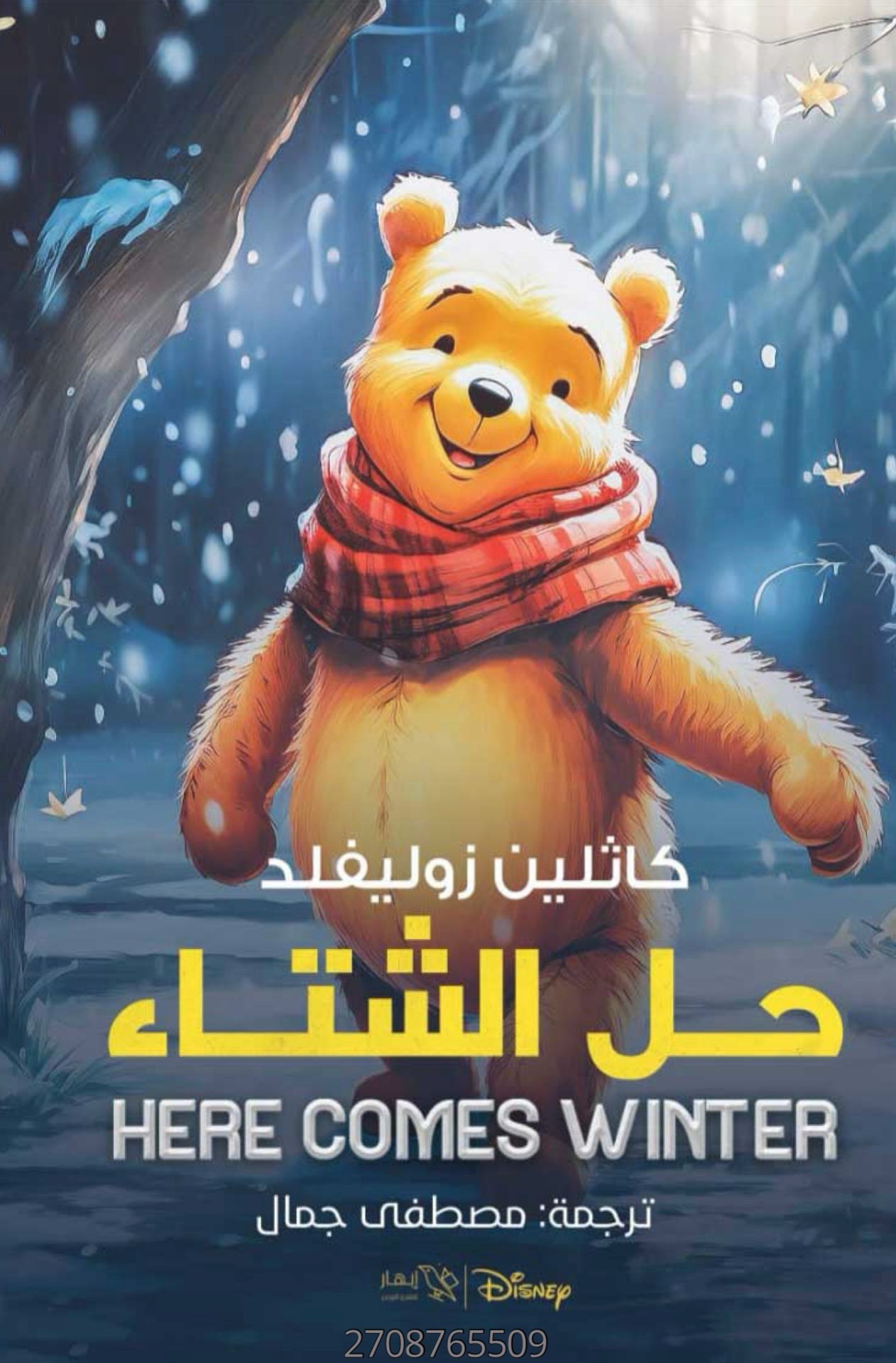 حل الشتاء! book cover