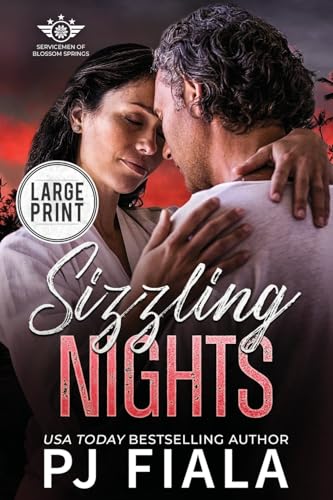 Sizzling Nights book cover