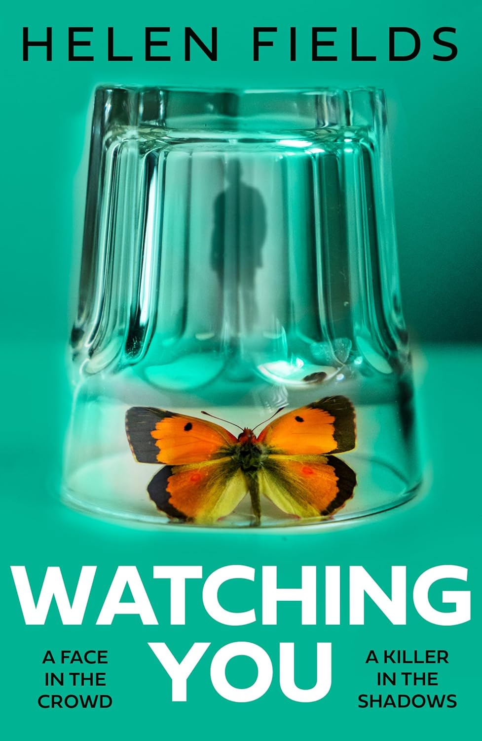 Watching You book cover