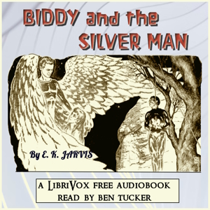 Biddy and the Silver Man book cover