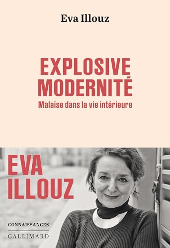 Explosive modernité book cover