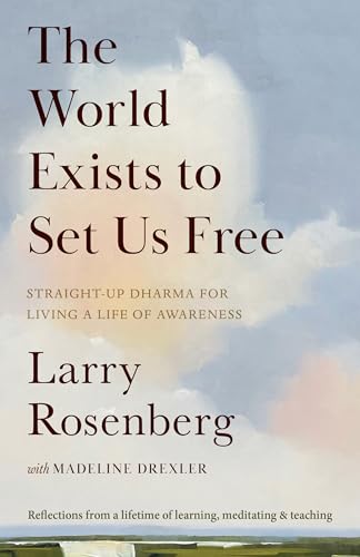 The World Exists to Set Us Free book cover