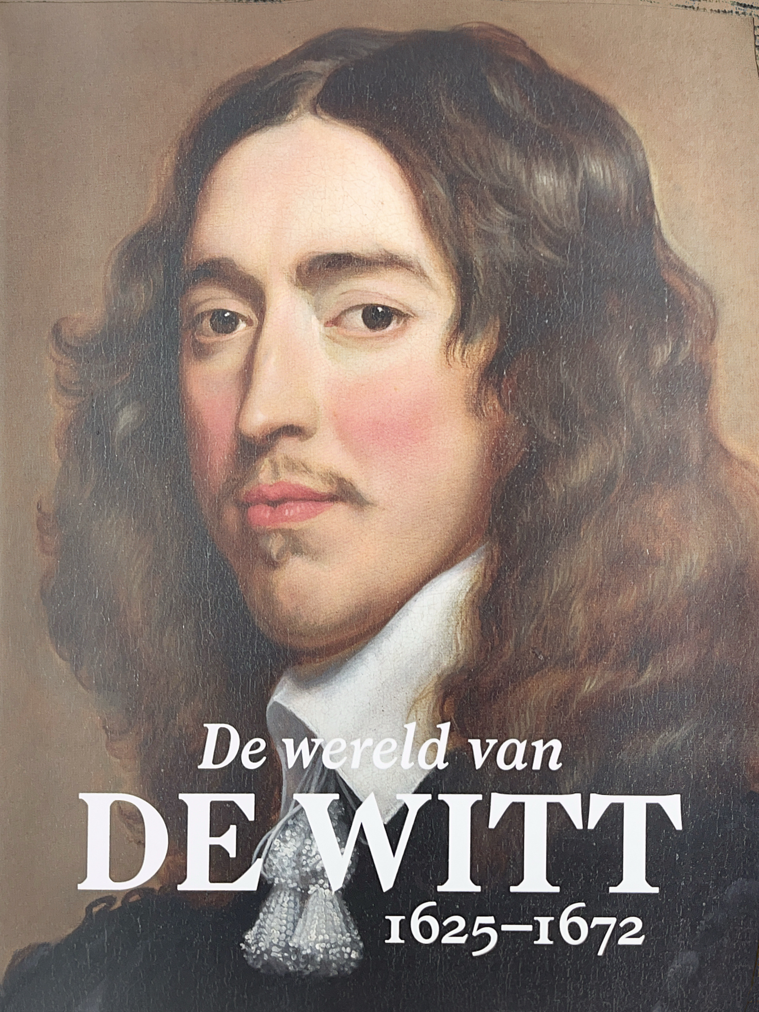 De wereld van De Witt book cover