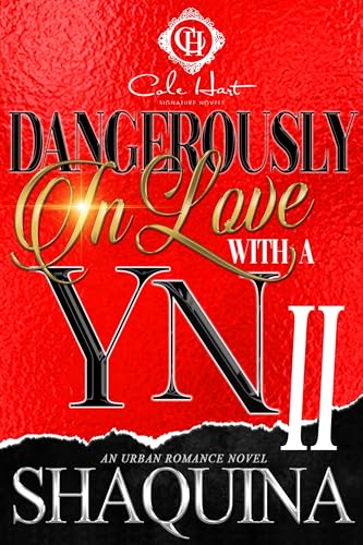 Dangerously In Love With A YN 2 book cover