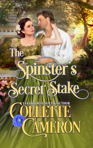 The Spinster's Secret Stake book cover