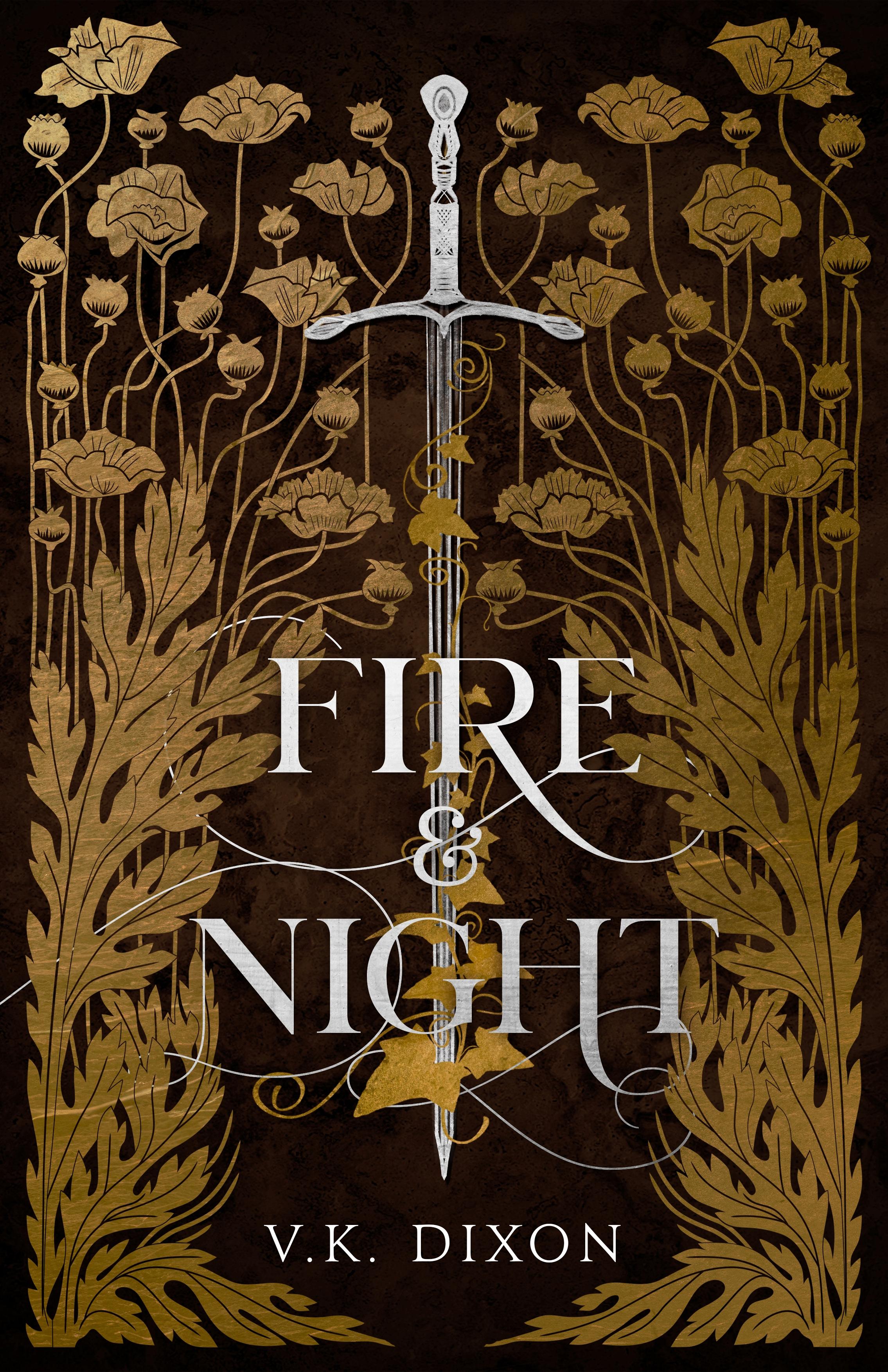 Fire & Night (Warriors & Mages, #1)