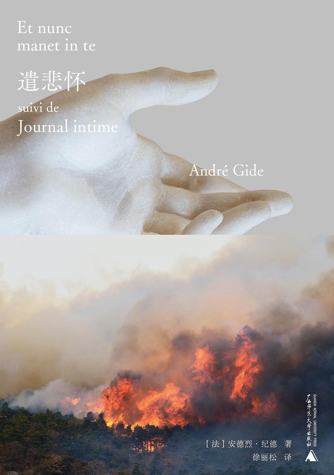遣悲怀 book cover