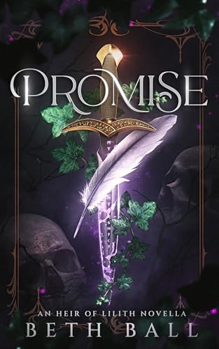 Promise book cover