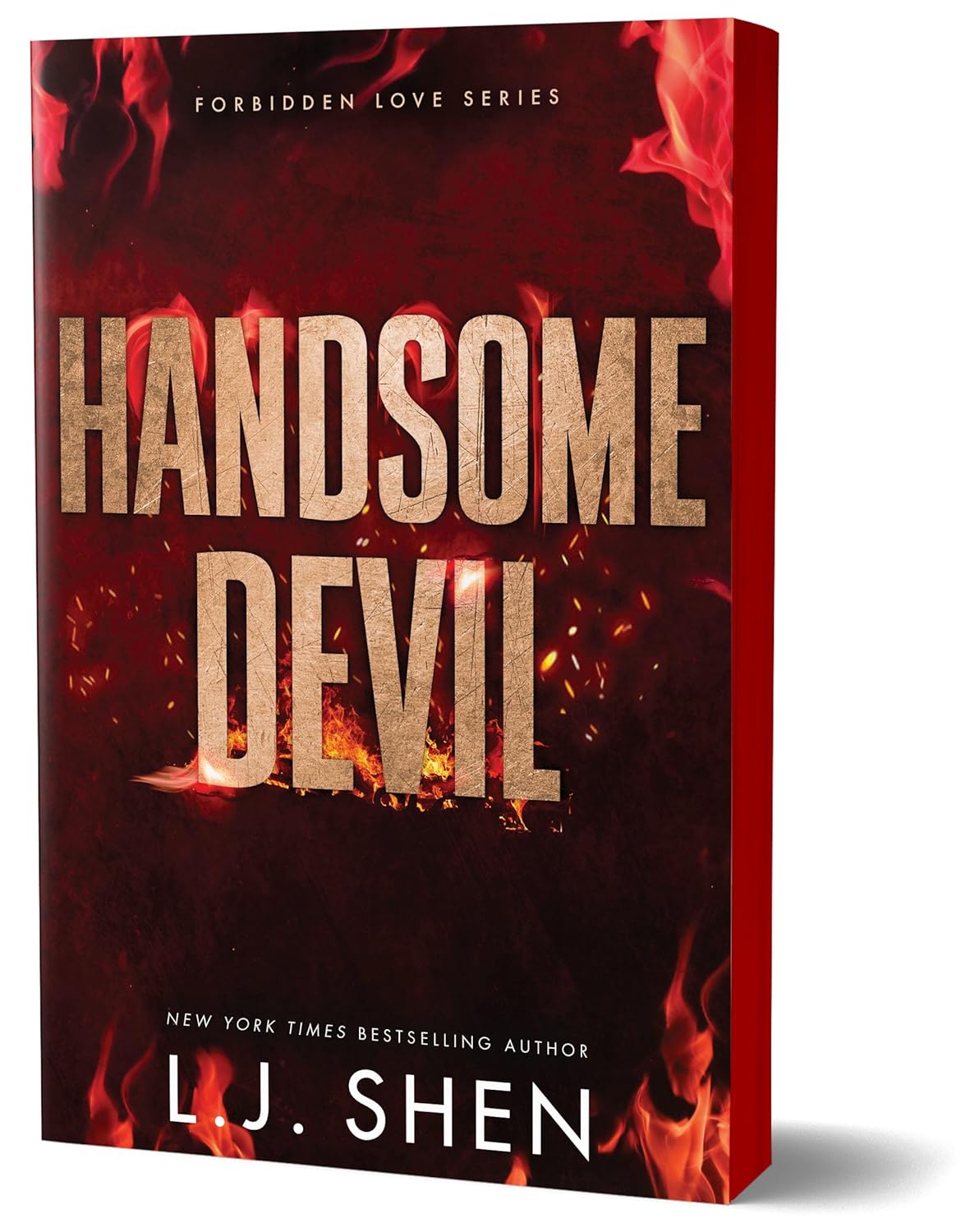 Handsome Devil (Forbidden Love, #3)