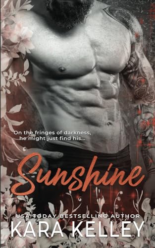 Sunshine book cover