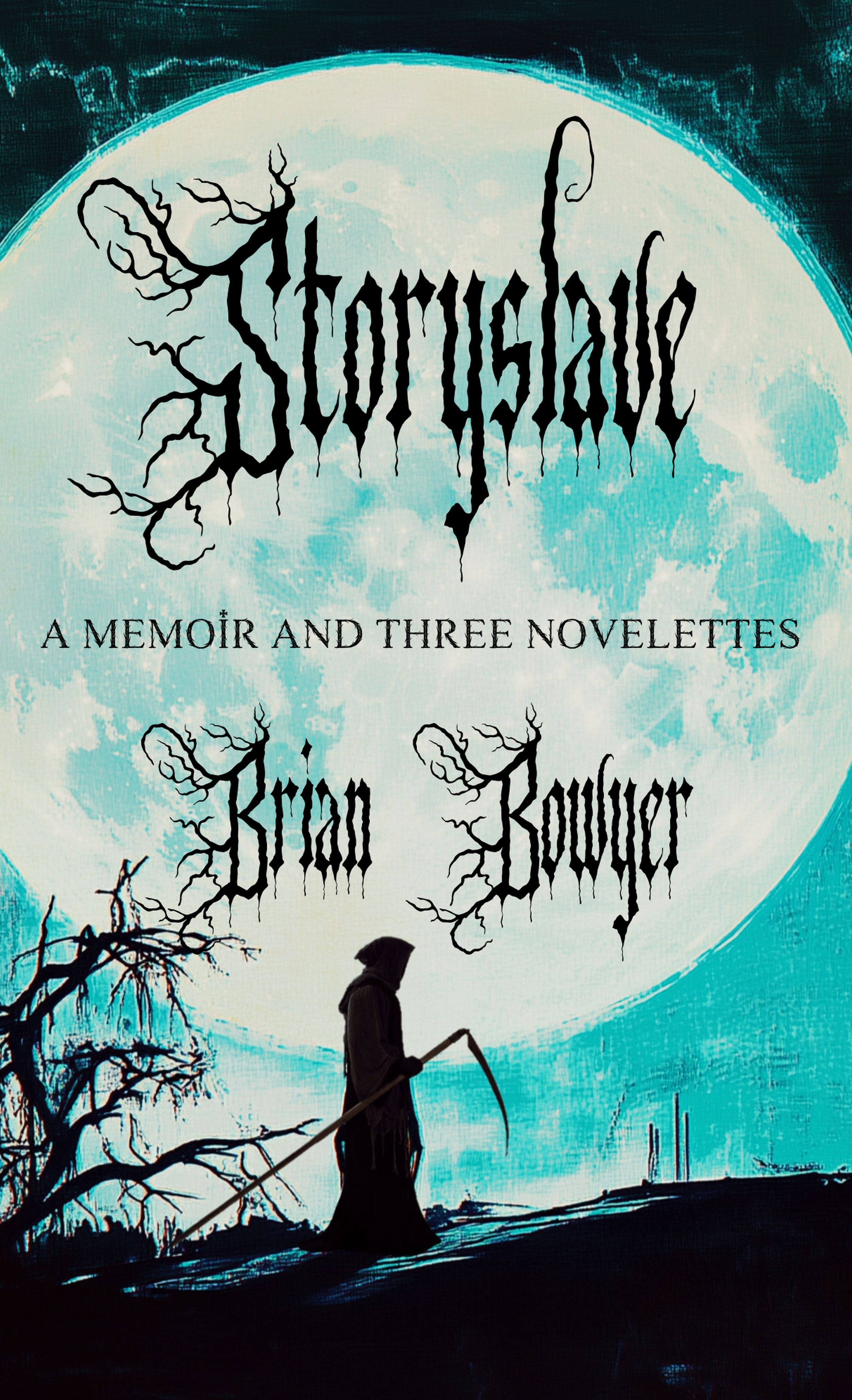 Storyslave book cover