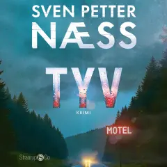 Tyv book cover