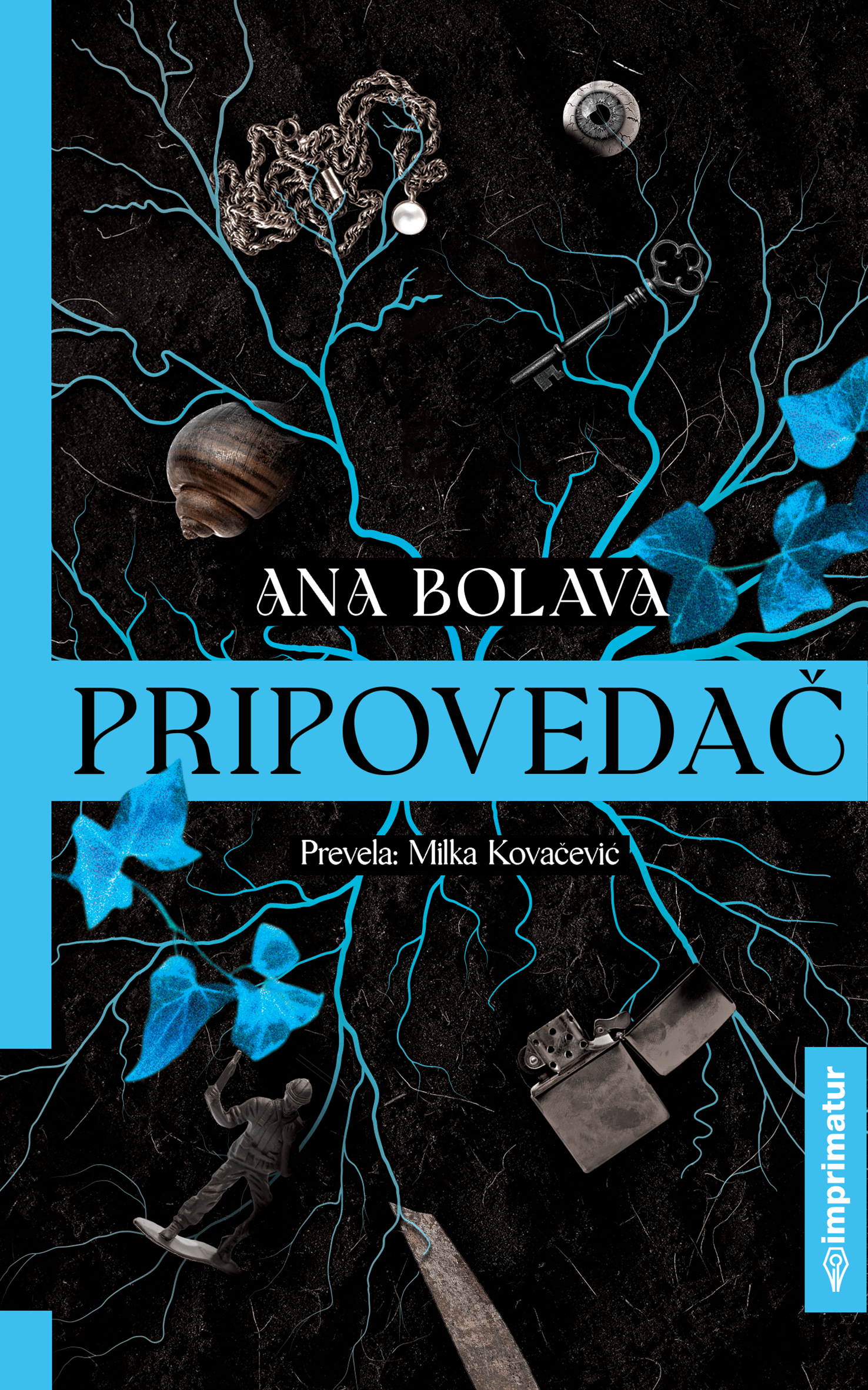 Pripovedač book cover