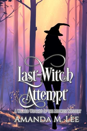 Last Witch Attempt book cover