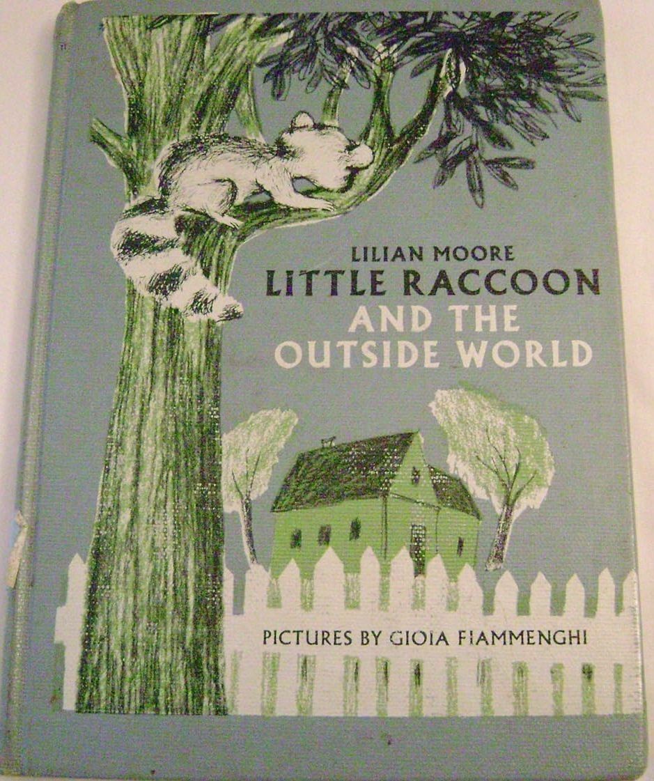 Little Raccoon and the Outside World book cover