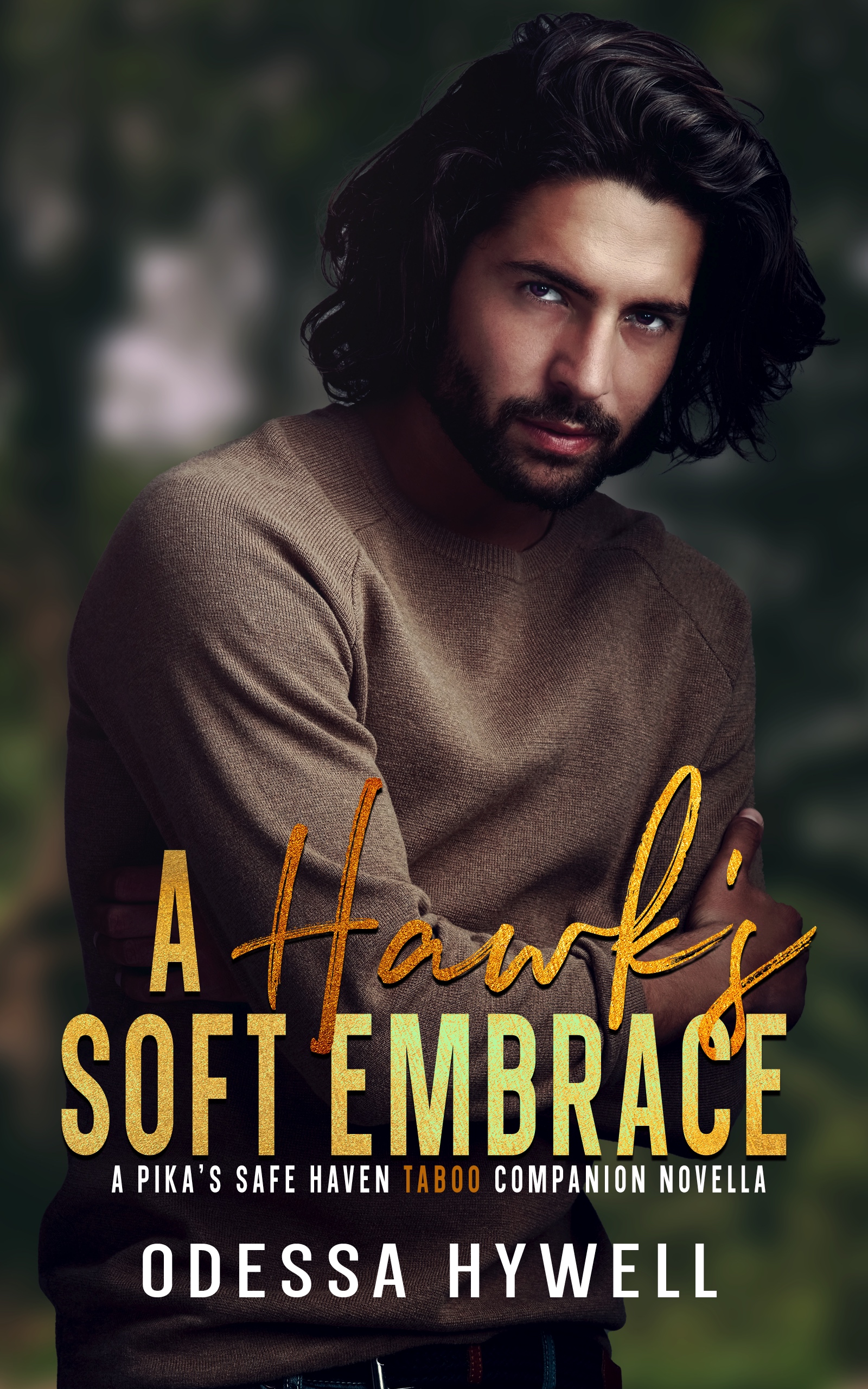 A Hawk's Soft Embrace book cover