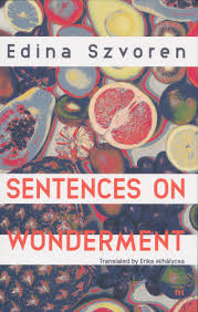 Sentences on Wonderment book cover