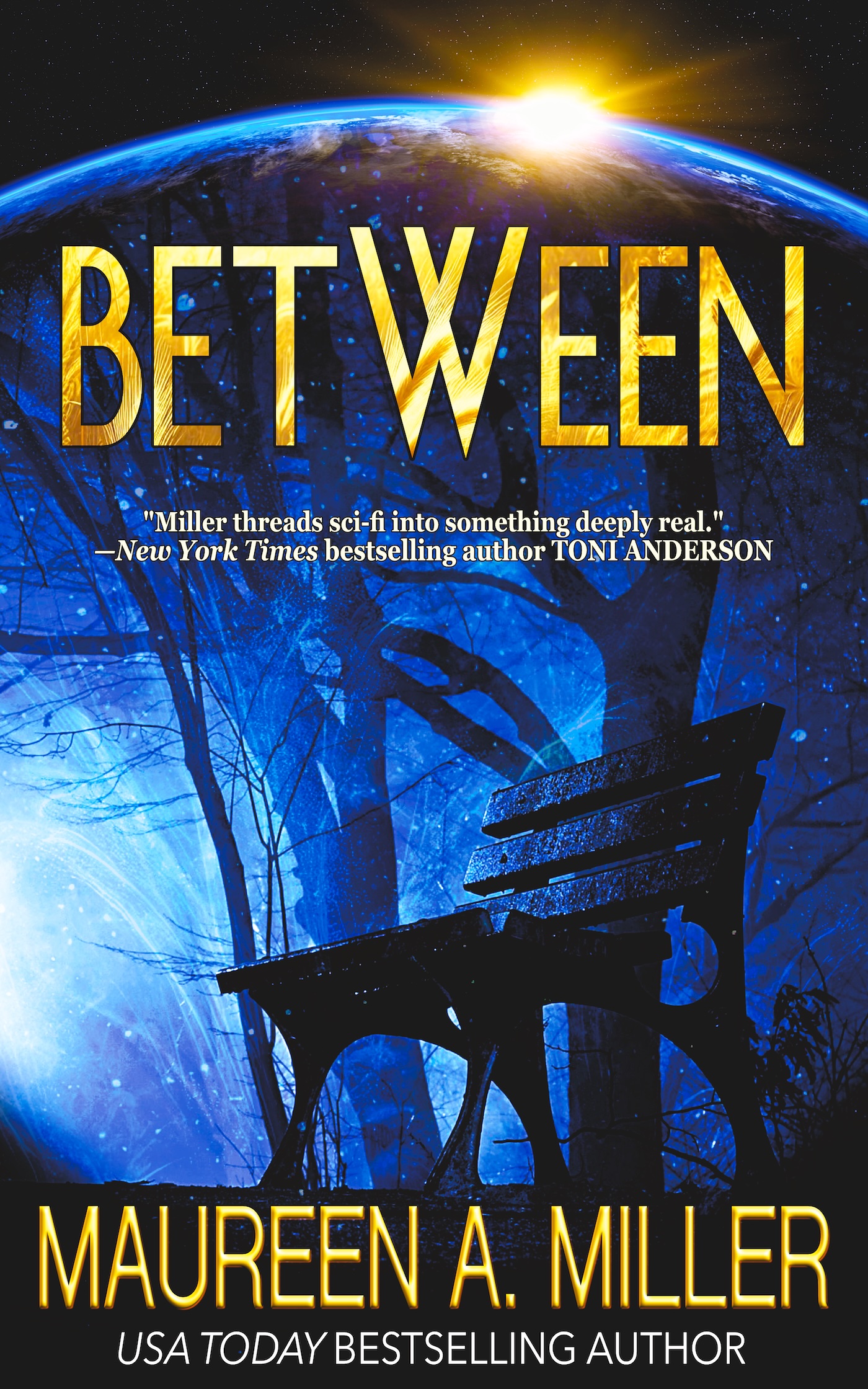 STELLAR BRIDGE book cover 2