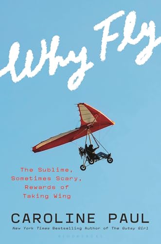 Why Fly: Seeking Awe, Healing, and Our True Selves in the Sky Book Cover