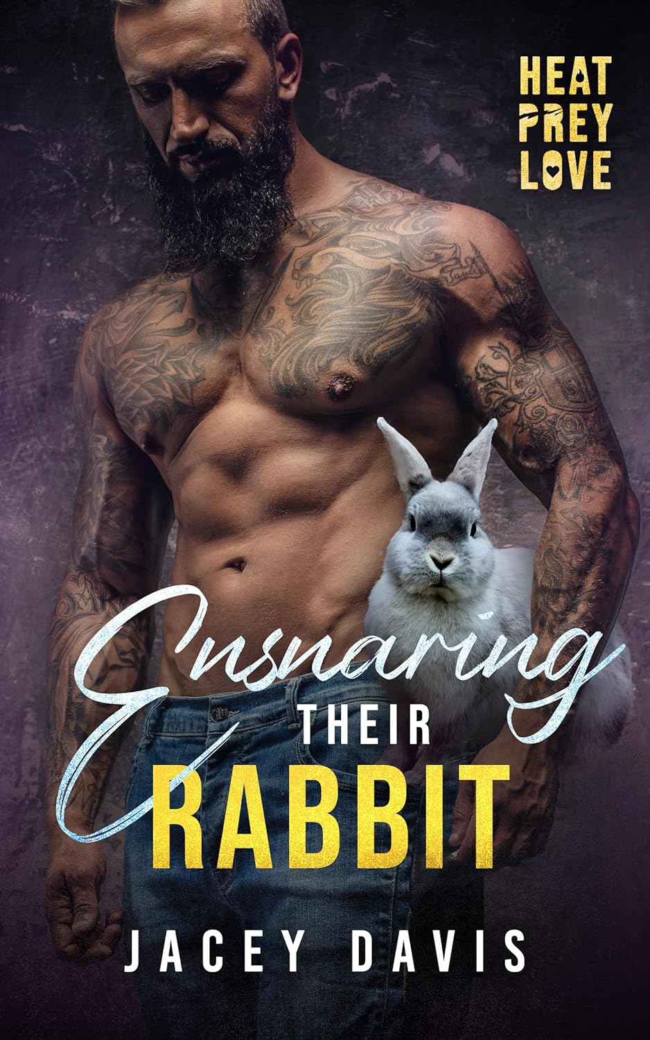 Ensnaring Their Rabbit book cover