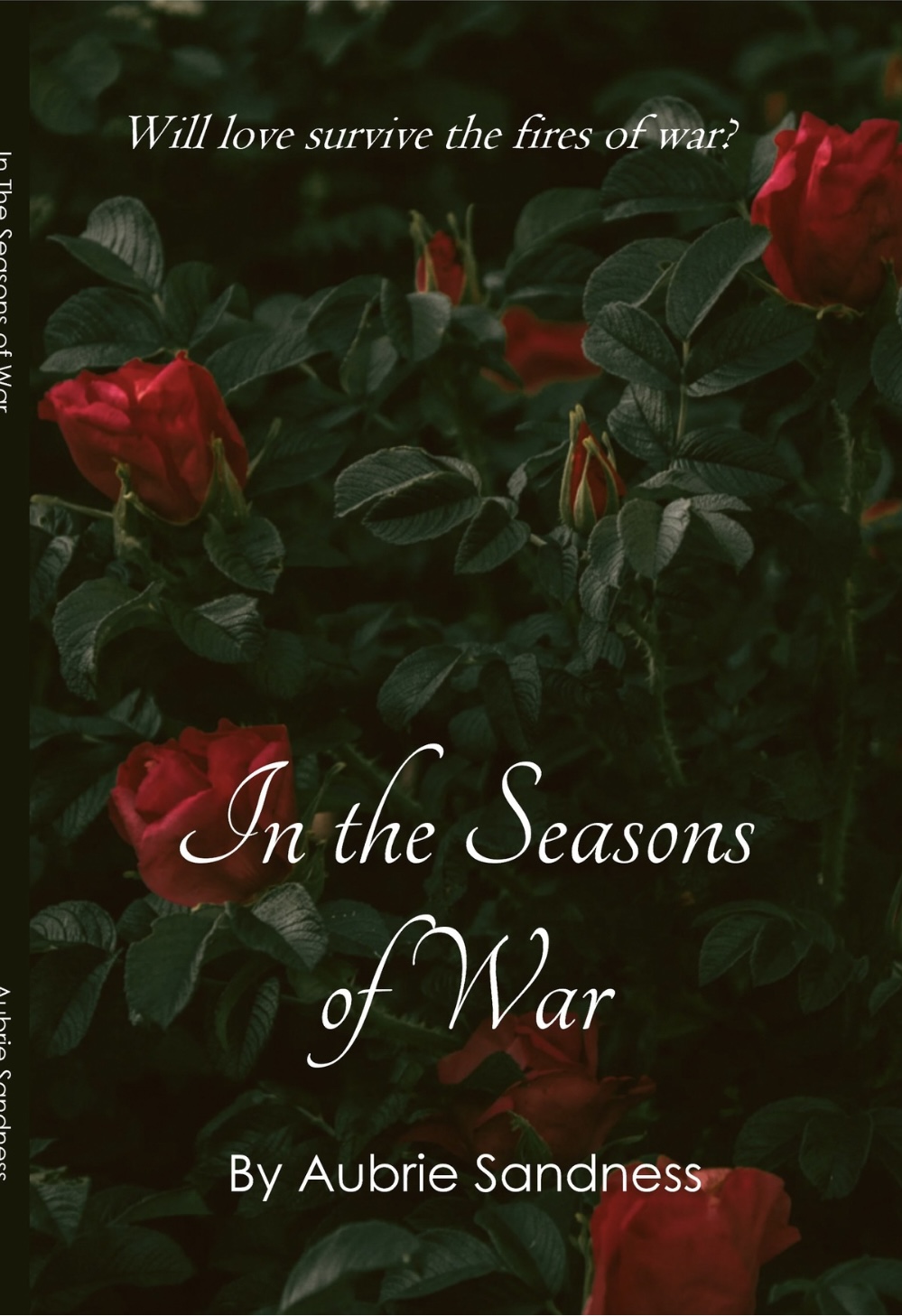 In the Seasons of War