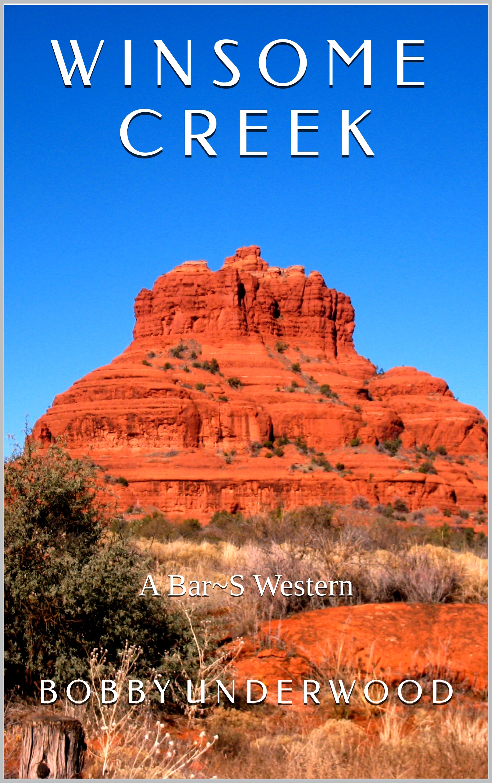 Winsome Creek: A Bar~S Western
