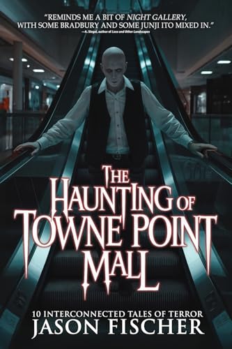 The Haunting of Towne Point Mall book cover