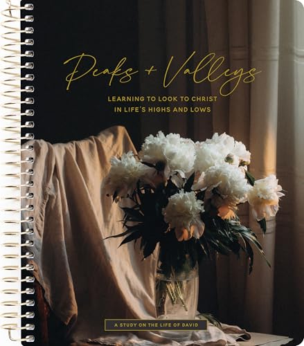 Peaks and Valleys book cover