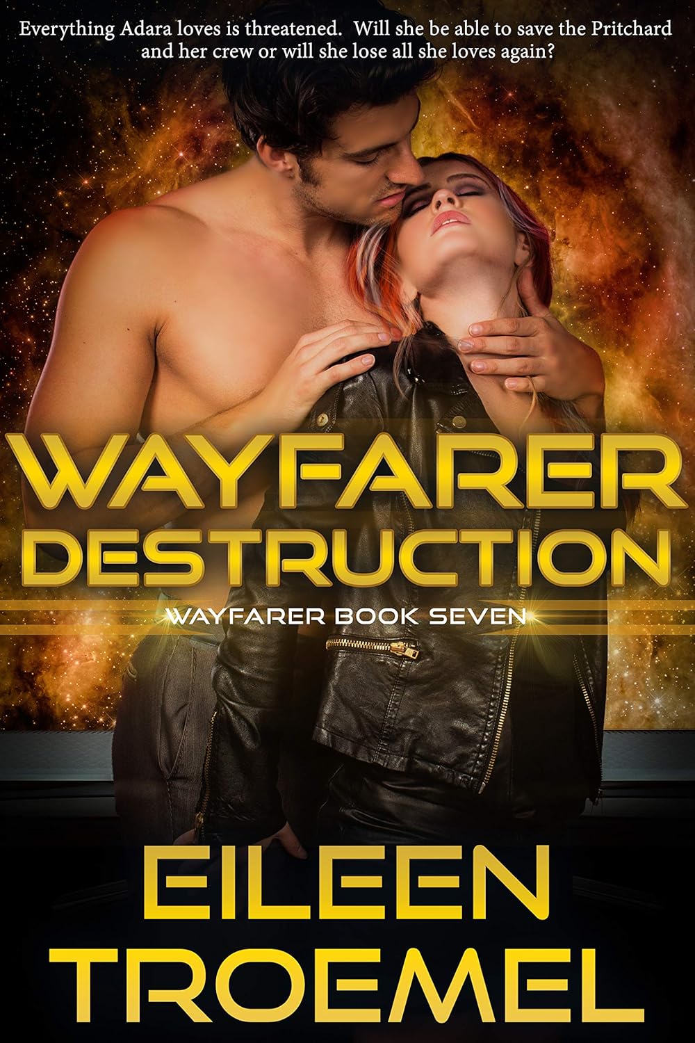Wayfarer Destruction book cover