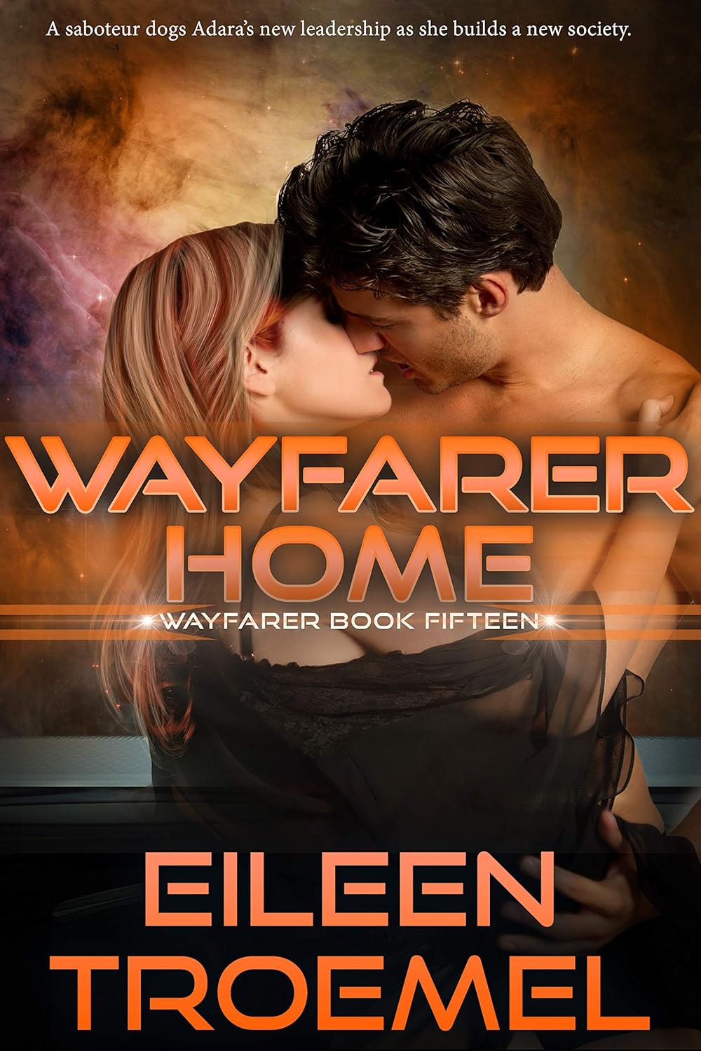 Wayfarer Home book cover