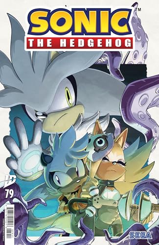 Sonic the Hedgehog (2018-) #79 book cover
