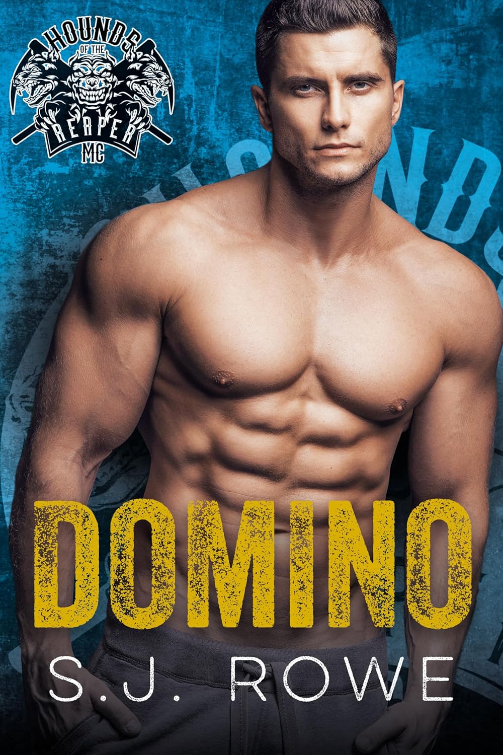 Domino book cover