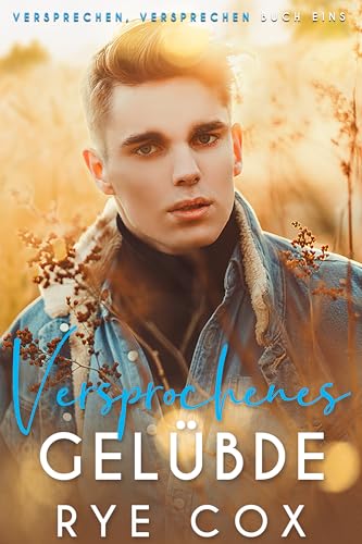 Promises, Promises book cover 2