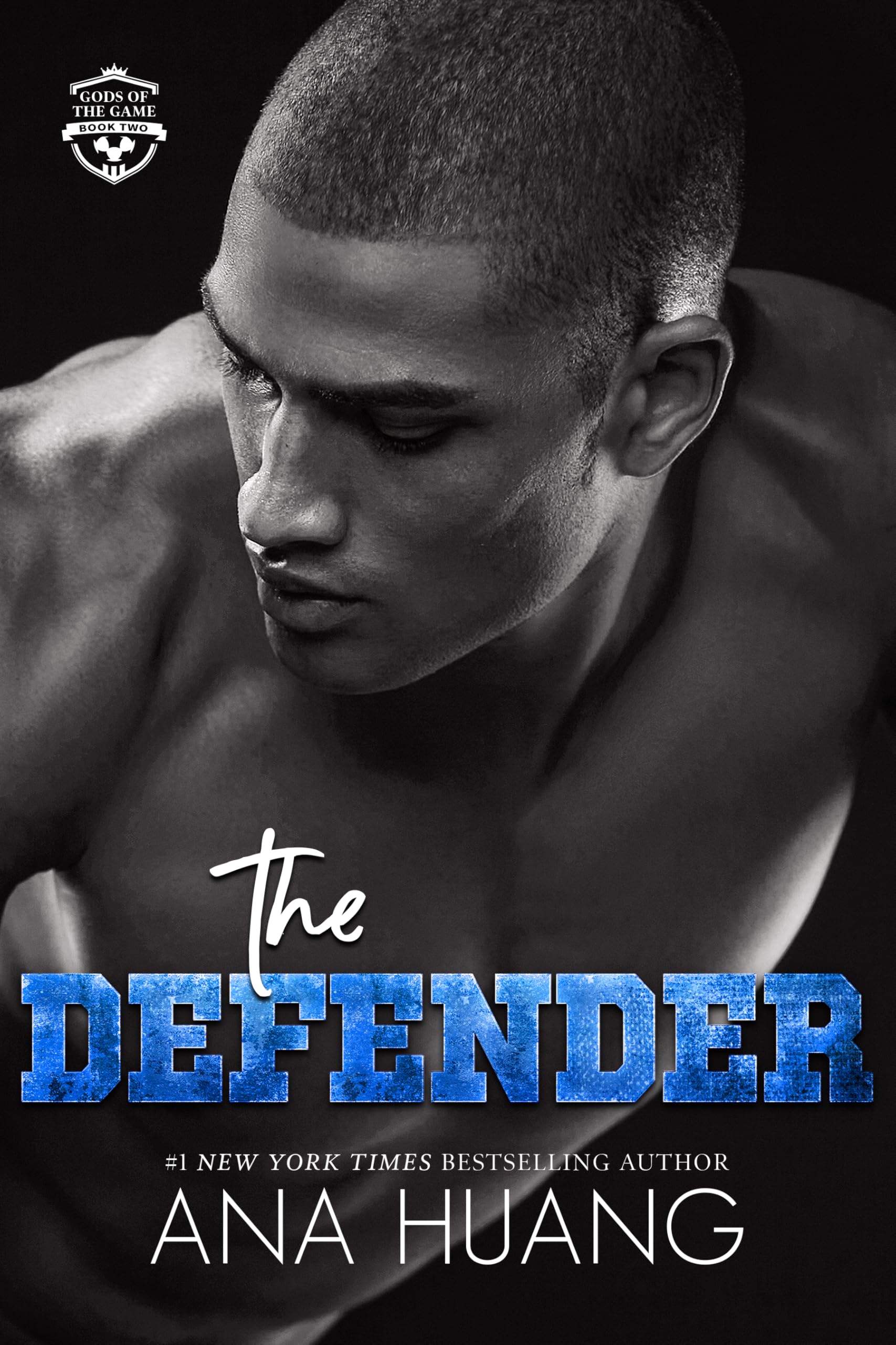 The Defender Book Cover